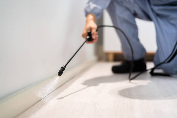 Rodent Entry Point Assessment in Yorkville