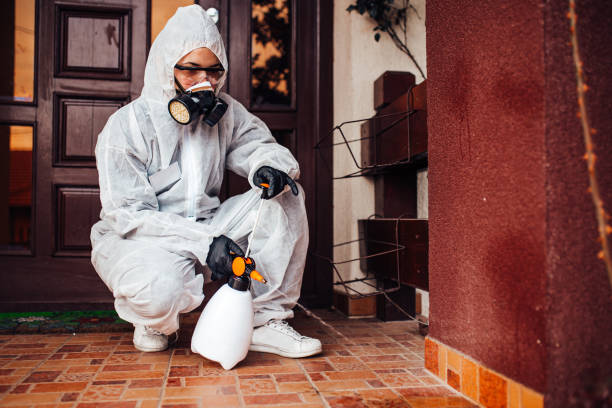 Attic and Crawl Space Rodent Treatment in Yorkville